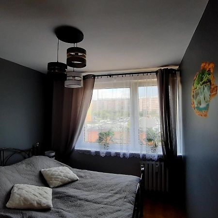 ואלבריץ' Apartament Grodzka מראה חיצוני תמונה